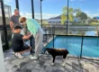 keep pets safe