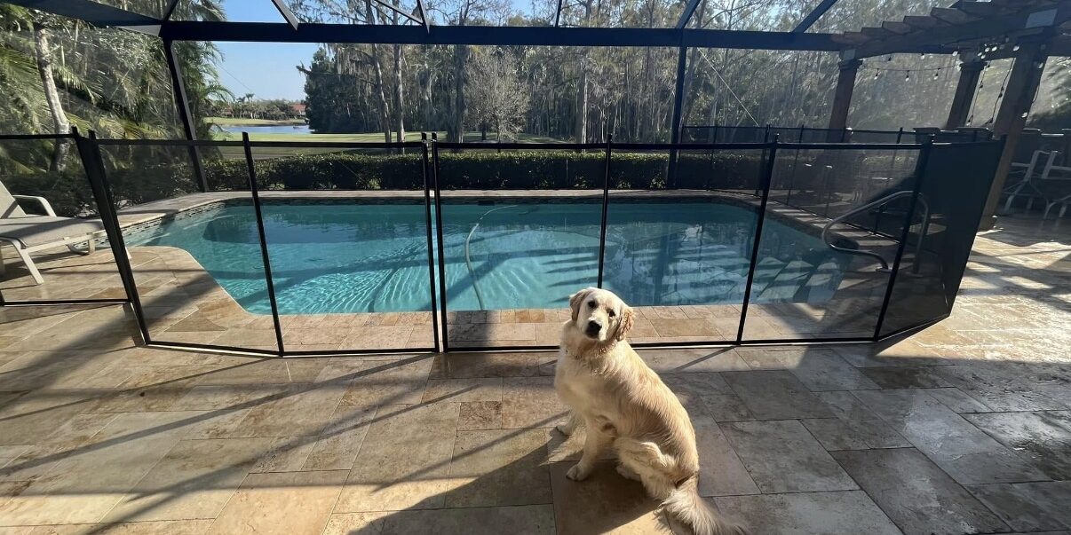 Screenshot Pool Safety Pets