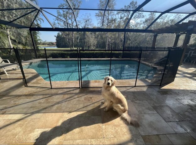Screenshot Pool Safety Pets